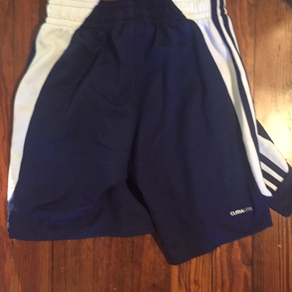 Shorts - Picture 2 of 2